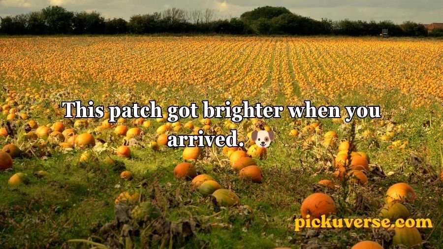Pumpkin Pick Up Lines