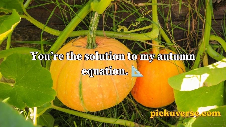 Pumpkin Pick Up Lines
