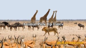 Animal Pick Up Lines