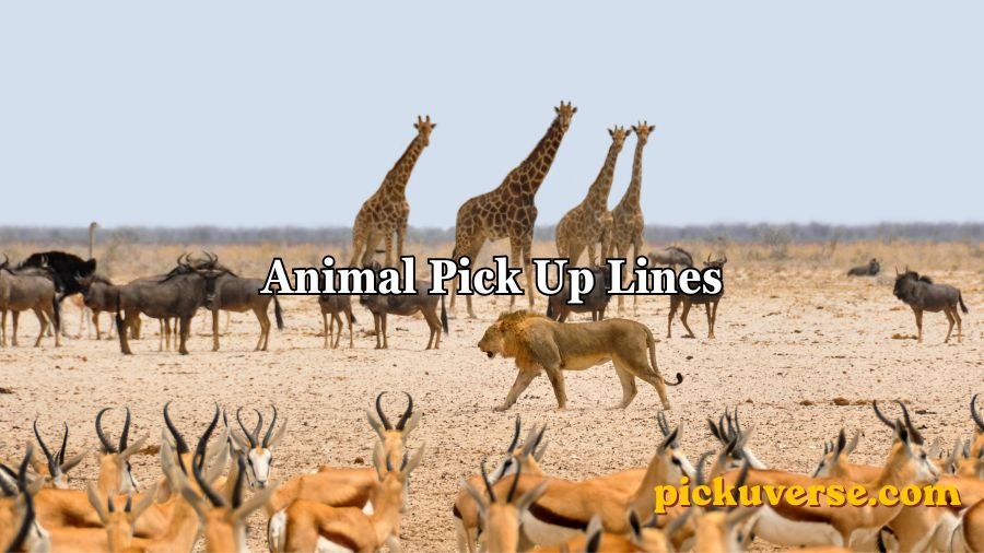Animal Pick Up Lines