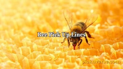 Bee Pick Up Lines