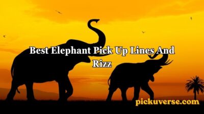 Best Elephant Pick Up Lines And Rizz