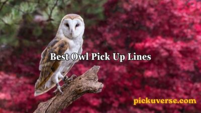 Best Owl Pick Up Lines