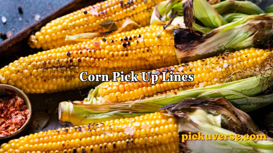 Corn Pick Up Lines