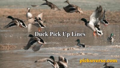 Duck Pick Up Lines