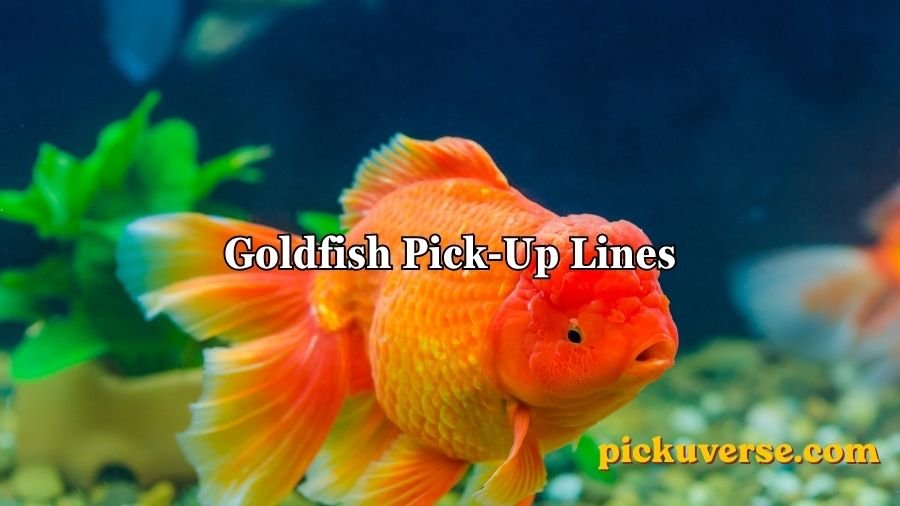 Goldfish Pick-Up Lines