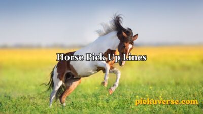 Horse Pick Up Lines