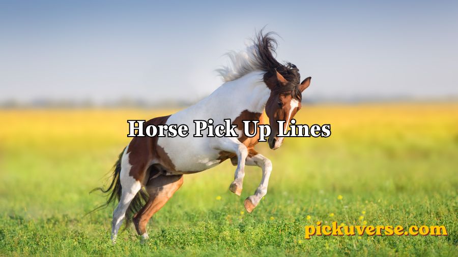 Horse Pick Up Lines
