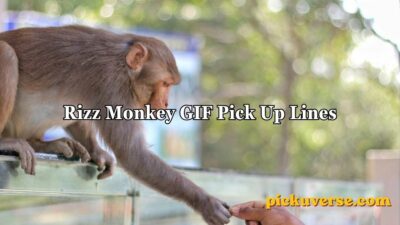 Rizz Monkey GIF Pick Up Lines