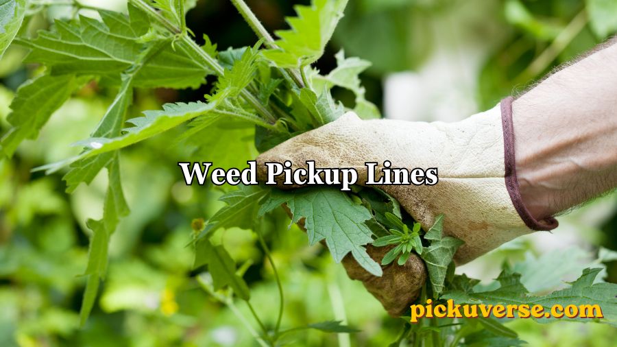 Weed Pickup Lines
