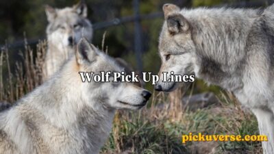 Wolf Pick Up Lines