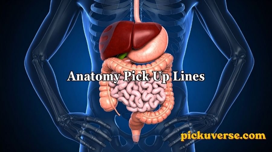 Anatomy Pick Up Lines