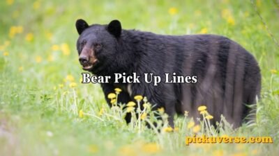 Bear Pick Up Lines
