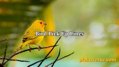 Bird Pick Up Lines