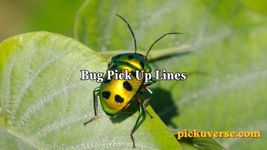 Bug Pick Up Lines