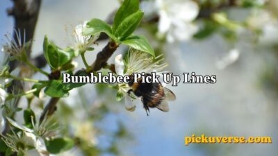 Bumblebee Pick Up Lines
