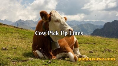 Cow Pick Up Lines