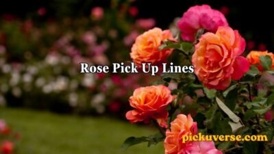 Rose Pick Up Lines