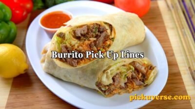 Burrito Pick Up Lines