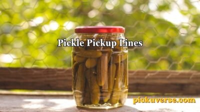 Pickle Pickup Lines