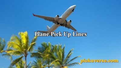 Plane Pick Up Lines