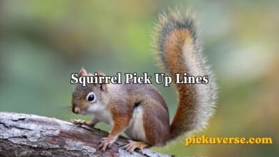 Squirrel Pick Up Lines