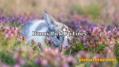 Bunny Pick Up Lines