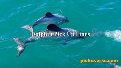 Dolphin Pick Up Lines