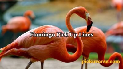 Flamingo Pick Up Lines