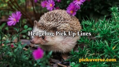 Hedgehog Pick Up Lines