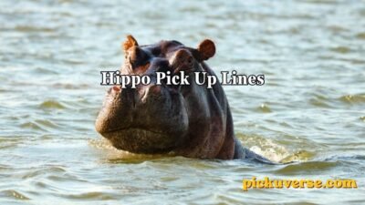 Hippo Pick Up Lines