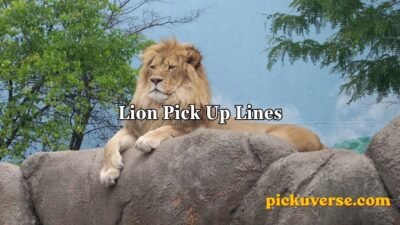 Lion Pick Up Lines