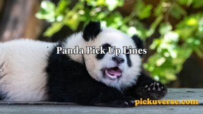 Panda Pick Up Lines